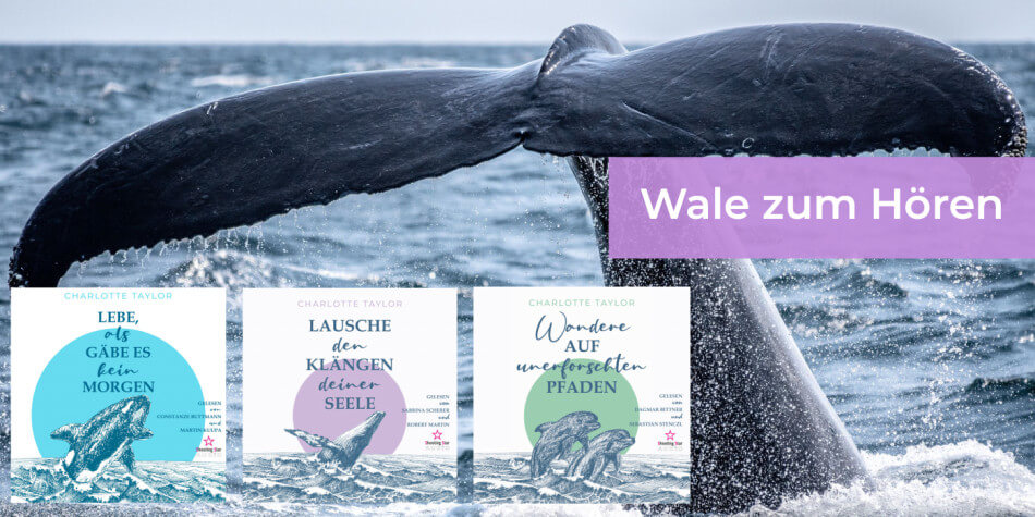 Die "Insel der Wale"-Reihe als Hörbücher